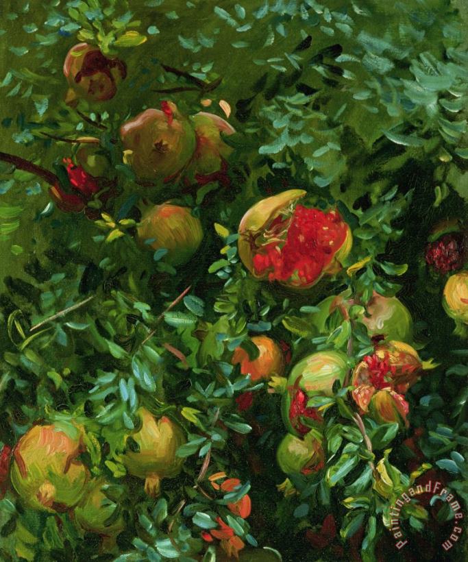 Pomegranates Majorca painting - John Singer Sargent Pomegranates Majorca Art Print
