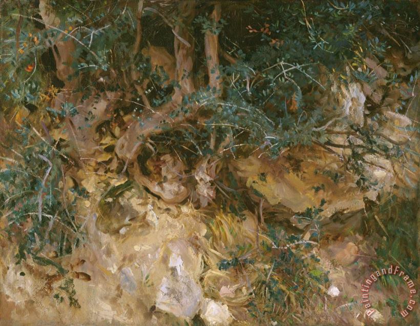 John Singer Sargent Valdemosa, Majorca: Thistles And Herbage on a Hillside Art Print