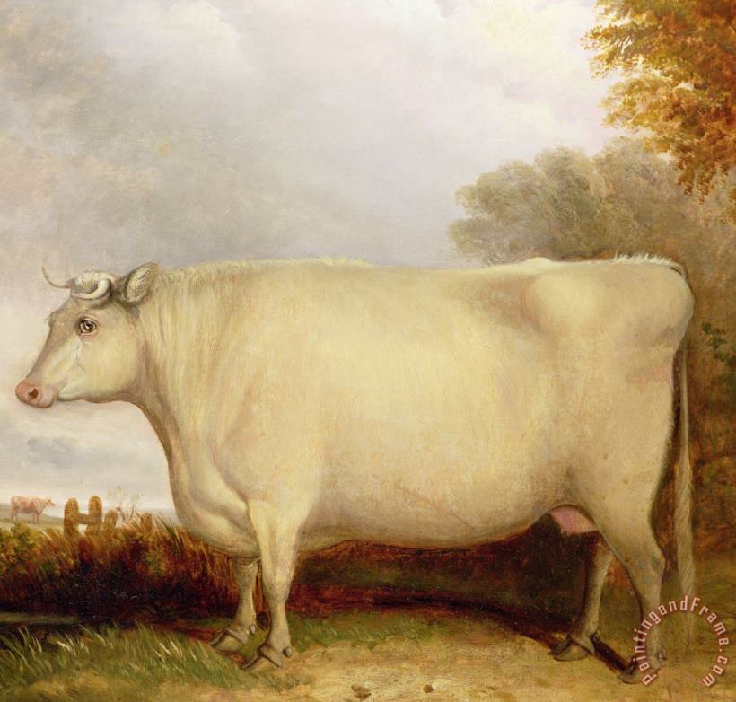 White Short-horned Cow In A Landscape painting - John Vine White Short-horned Cow In A Landscape Art Print
