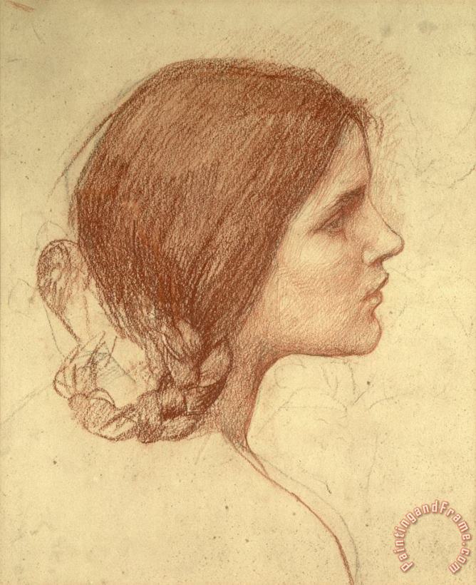 Head of a Girl painting - John William Waterhouse Head of a Girl Art Print