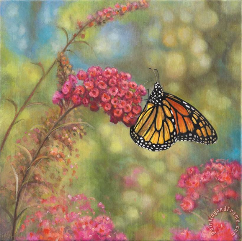 Monarch Butterfly painting - John Zaccheo Monarch Butterfly Art Print