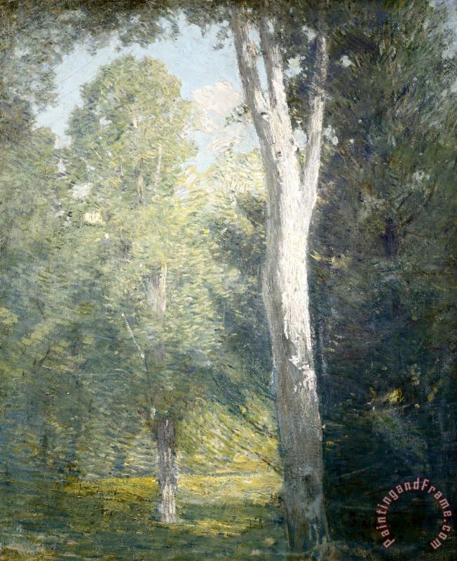 Julian Alden Weir Painting of Birch Trees in Forest Art Print