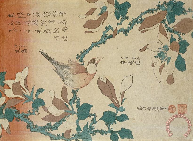 A Paddy Bird Perched on a Flowering Magnolia Branch painting - Katsushika Hokusai A Paddy Bird Perched on a Flowering Magnolia Branch Art Print