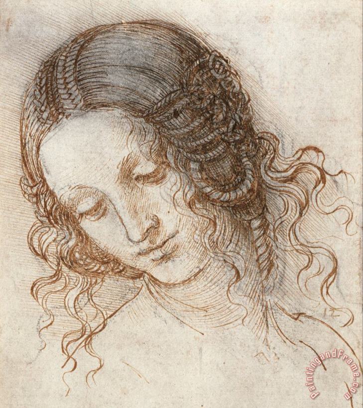 Leonardo da Vinci Leonardo Head Of Woman Drawing Art Print