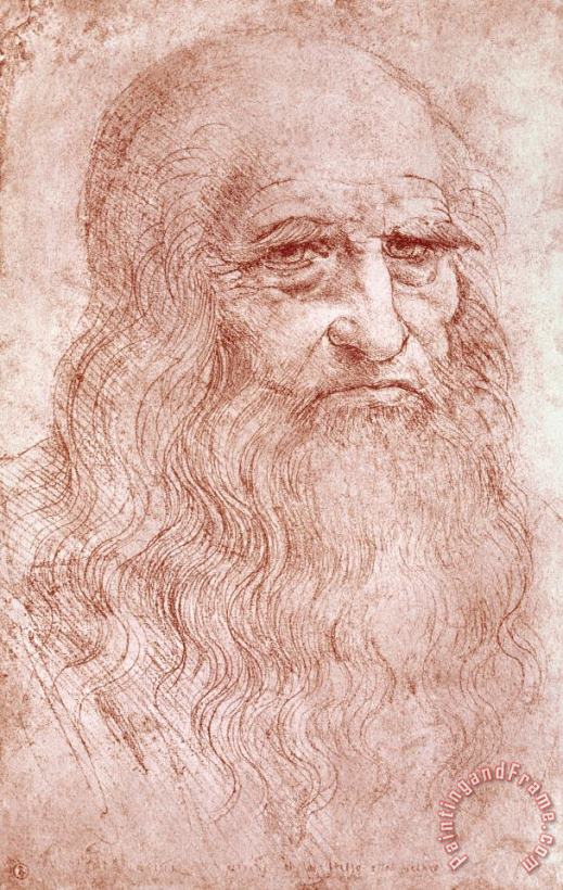 Leonardo da Vinci Portrait Of A Bearded Man Art Painting