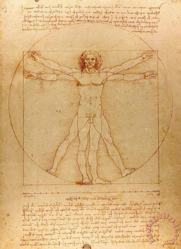 Leonardo da Vinci The Vitruvian Man Art Print