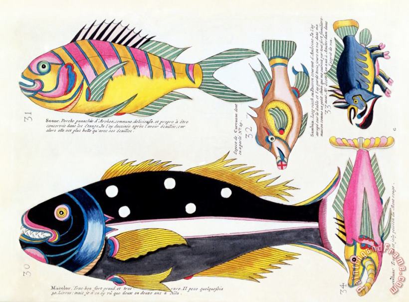 Louis Renard Fish Art Painting