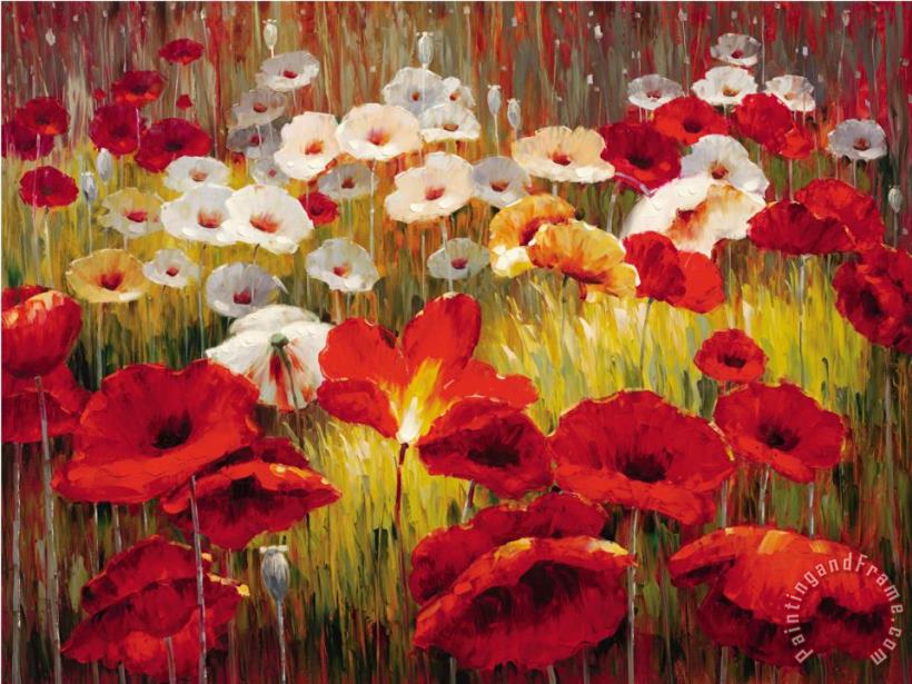 Lucas Santini Meadow Poppies II Art Painting