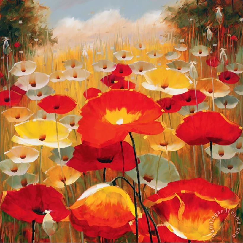Meadow Poppies Iv painting - Lucas Santini Meadow Poppies Iv Art Print