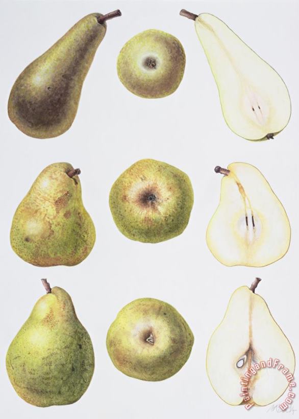 Six Pears painting - Margaret Ann Eden Six Pears Art Print