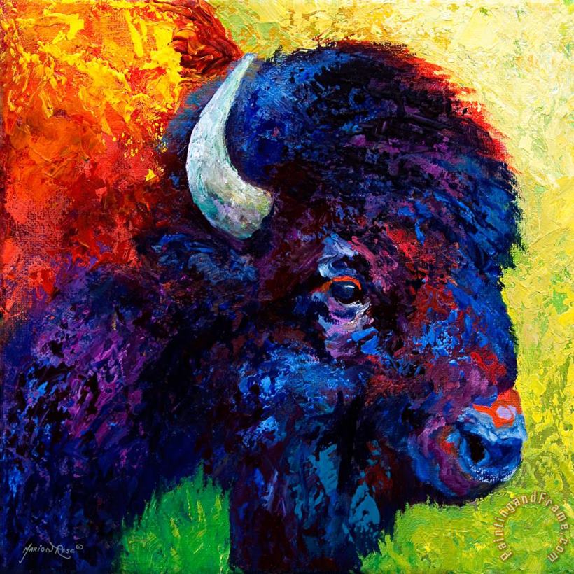 Bison Head Color Study III painting - Marion Rose Bison Head Color Study III Art Print