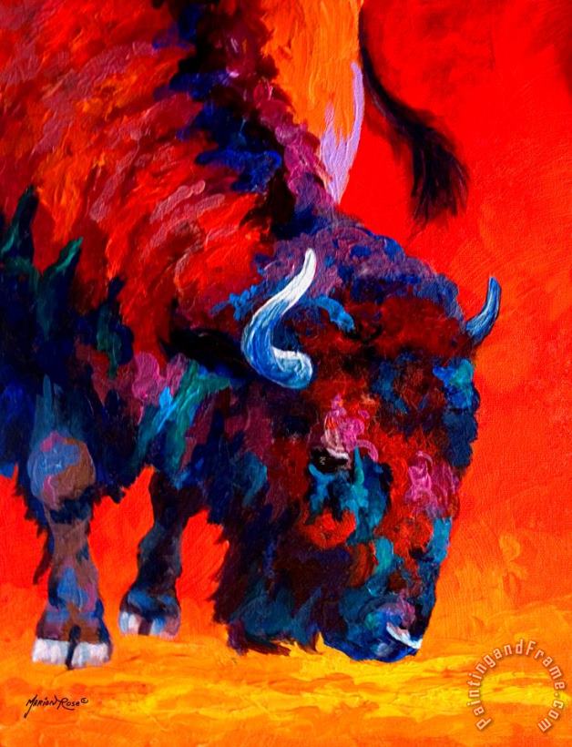 Grazing Bison painting - Marion Rose Grazing Bison Art Print
