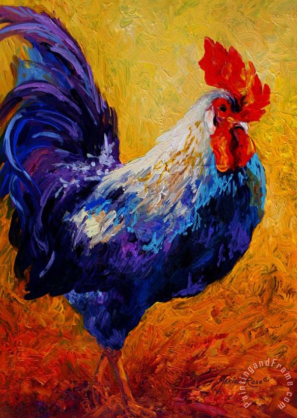 Marion Rose Indy - Rooster Art Painting