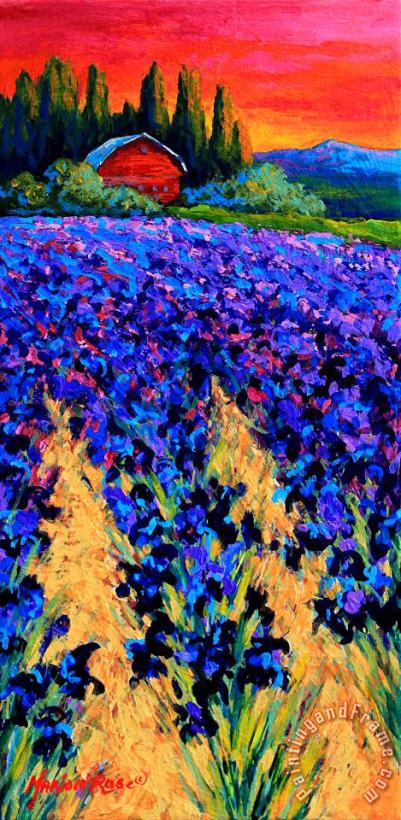 Marion Rose Iris Farm Art Painting