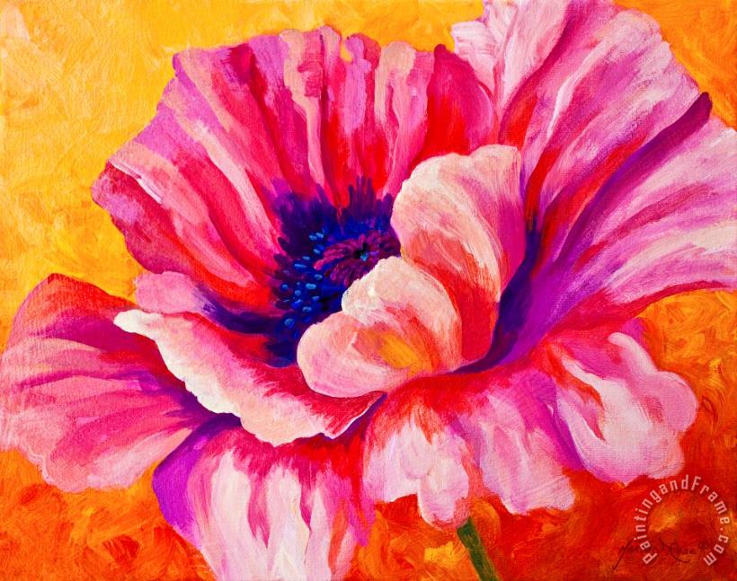 Pink Poppy painting - Marion Rose Pink Poppy Art Print