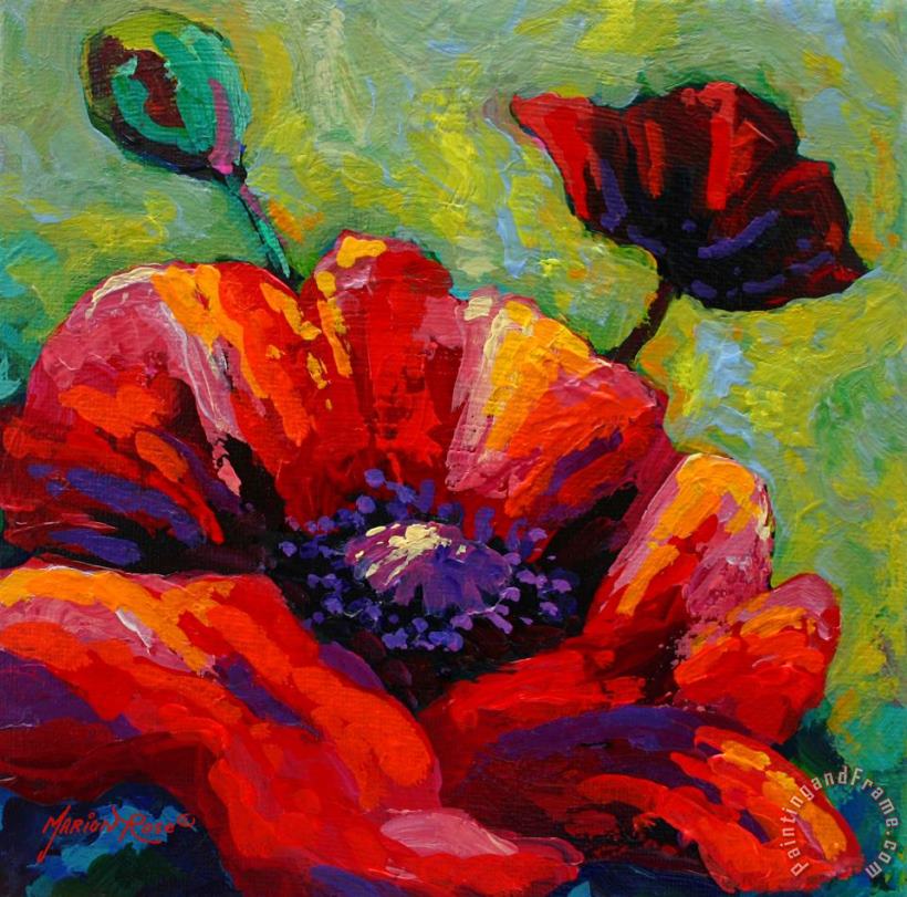 Marion Rose Poppy I Art Painting