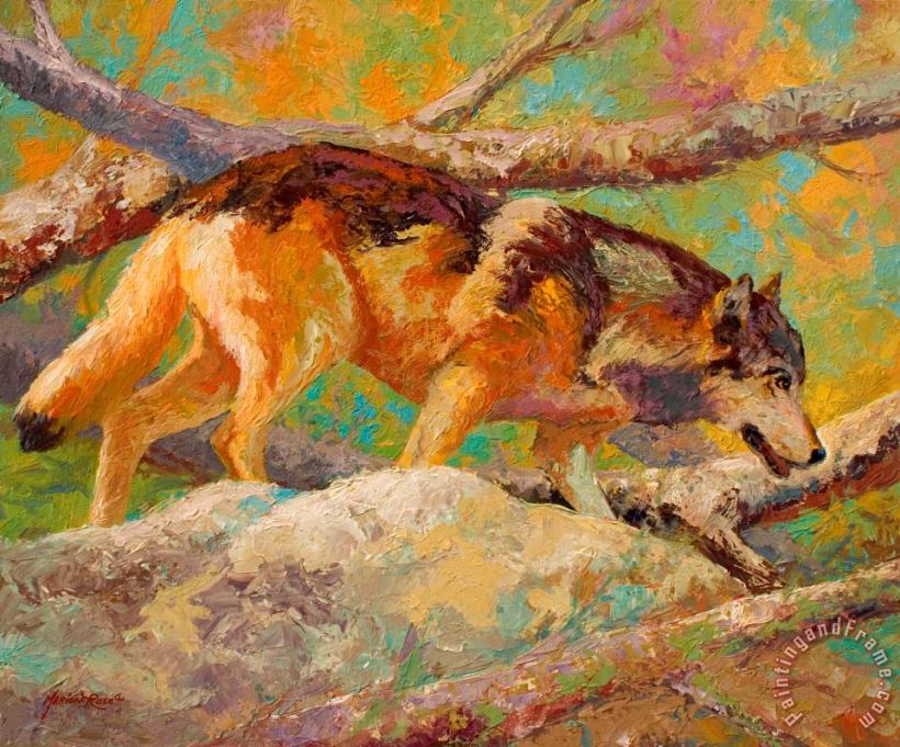 Prowler - Grey Wolf painting - Marion Rose Prowler - Grey Wolf Art Print