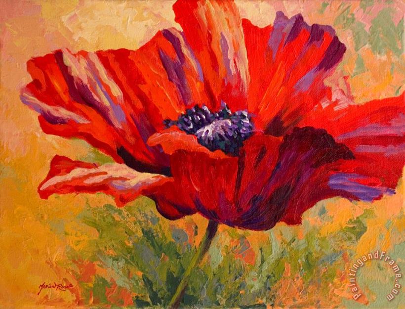 Red Poppy II painting - Marion Rose Red Poppy II Art Print