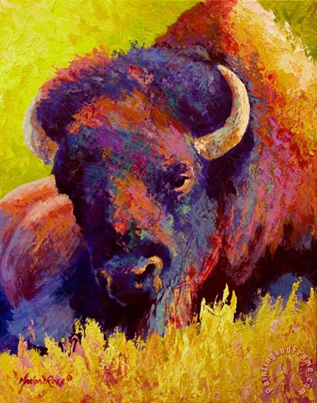 Timeless Spirit - Bison painting - Marion Rose Timeless Spirit - Bison Art Print