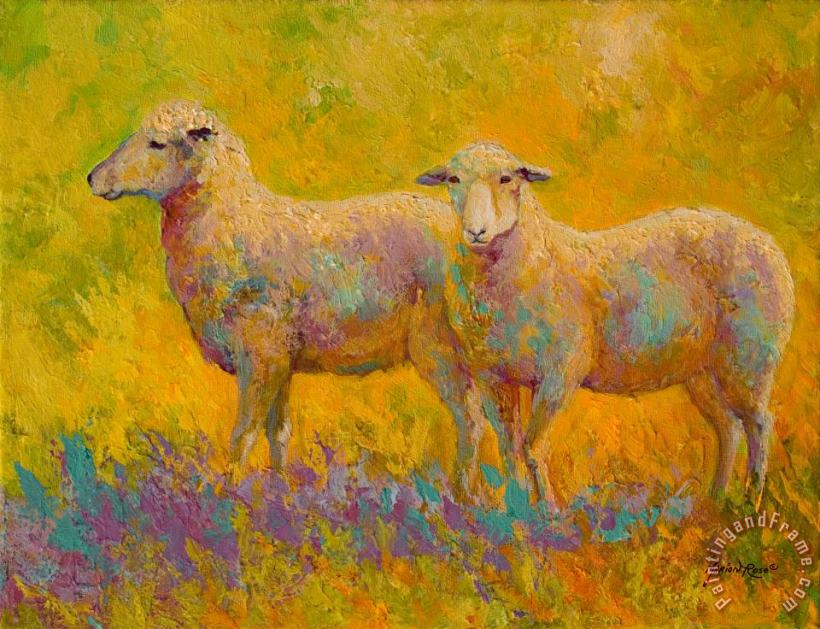 Warm Glow - Sheep Pair painting - Marion Rose Warm Glow - Sheep Pair Art Print