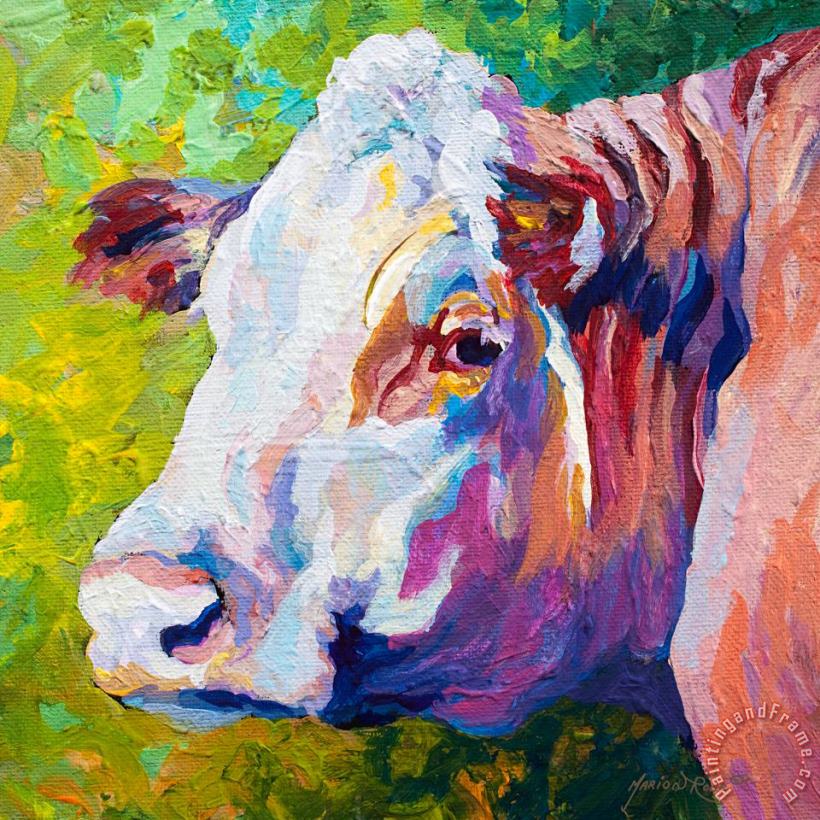 Marion Rose White Face Cow Art Painting