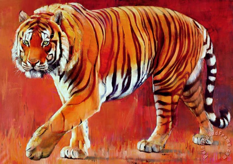 Mark Adlington Bengal Tiger Art Print