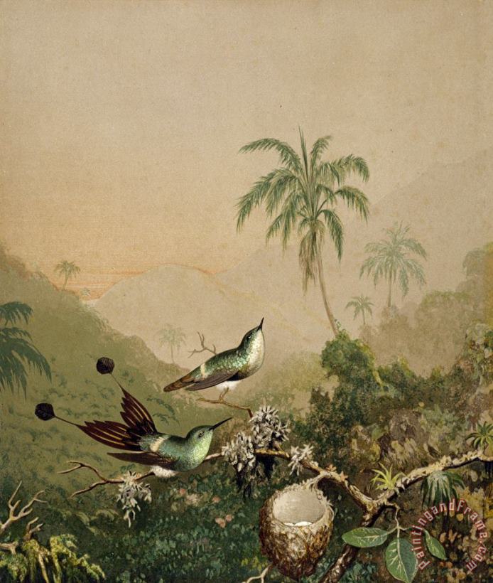 Martin Johnson Heade Brazilian Hummingbirds II Art Painting