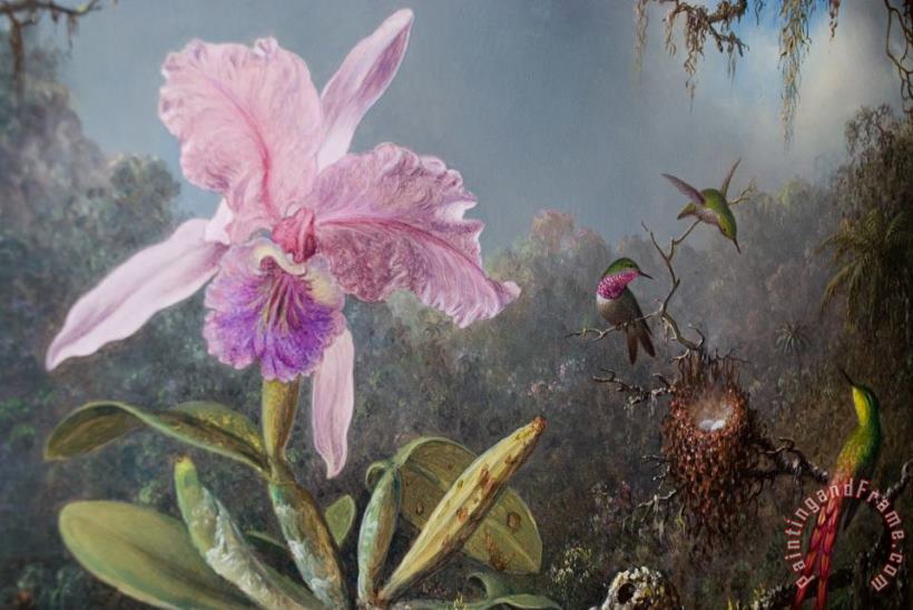Martin Johnson Heade Cattleya Orchid And Three Hummingbirds Art Painting