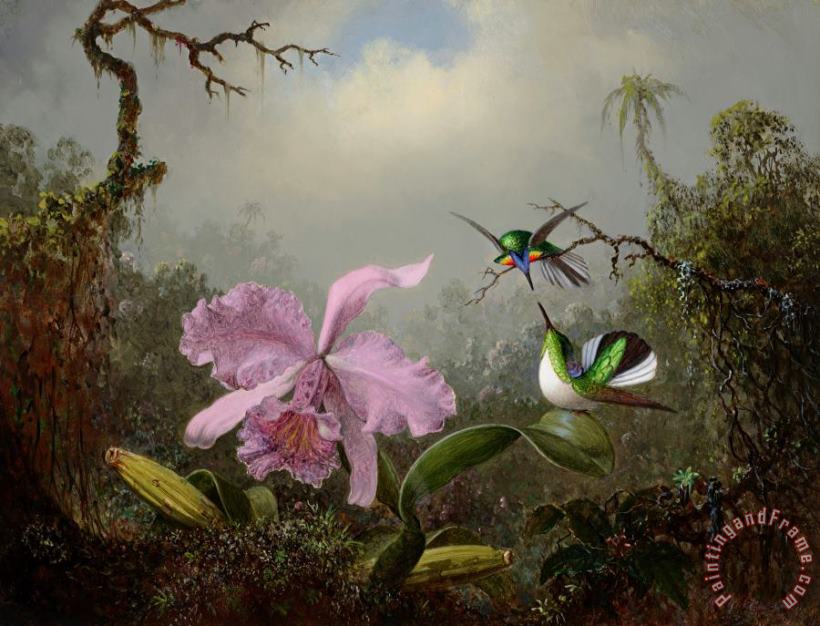 Martin Johnson Heade Cattleya Orchid with Two Brazilian Hummingbirds, 1871 Art Print