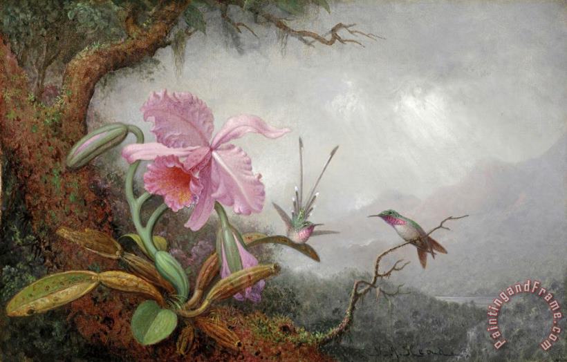 Martin Johnson Heade Hummingbirds And Orchids Art Painting