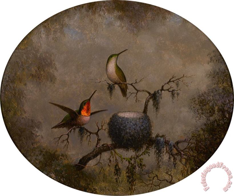 Martin Johnson Heade Hummingbirds And Their Nest Art Print