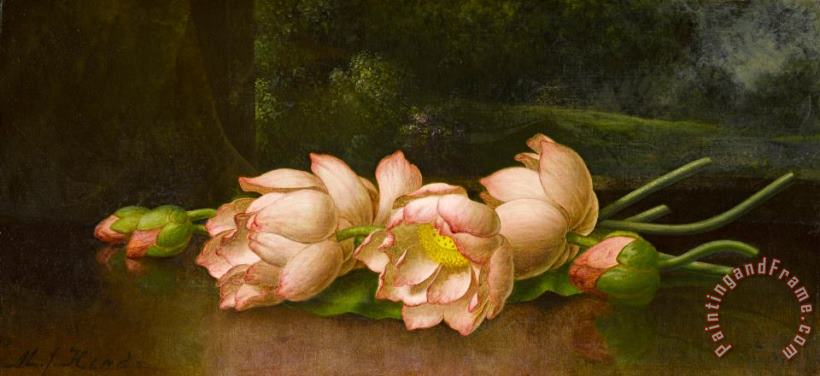 Lotus Flowers a Landscape Painting in The Background painting - Martin Johnson Heade Lotus Flowers a Landscape Painting in The Background Art Print