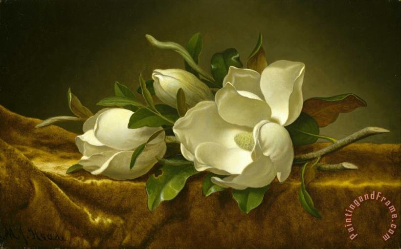 Martin Johnson Heade Magnolias on Gold Velvet Cloth Art Painting