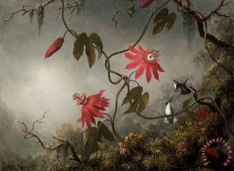 Martin Johnson Heade Passion Flowers And Hummingbirds Art Painting