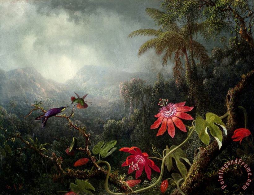 Passion Flowers with Three Hummingbirds painting - Martin Johnson Heade Passion Flowers with Three Hummingbirds Art Print
