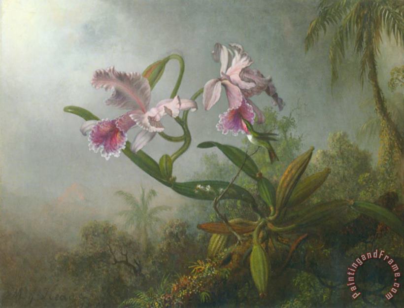 Martin Johnson Heade Pink Orchids And Hummingbird on a Twig Art Painting