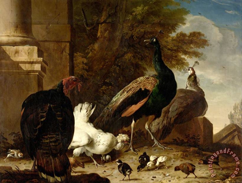 A Hen with Peacocks And a Turkey painting - Melchior de Hondecoeter A Hen with Peacocks And a Turkey Art Print