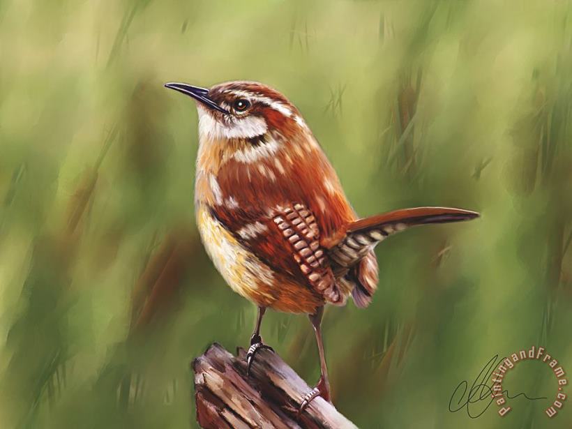 Michael Greenaway Brown bird hanging in the reeds Art Painting