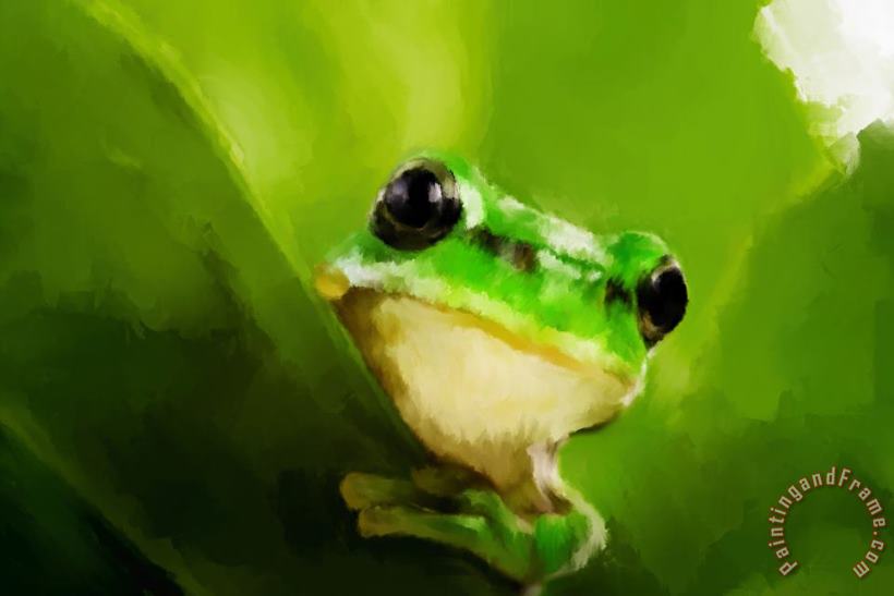 Michael Greenaway Frog Art Print