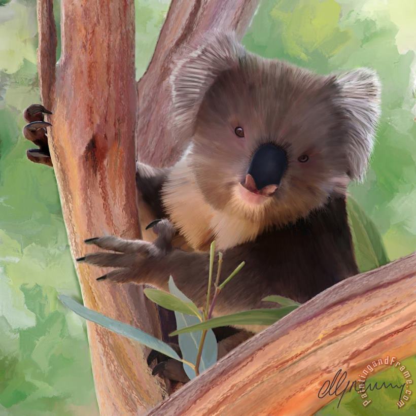 Koala Painting painting - Michael Greenaway Koala Painting Art Print