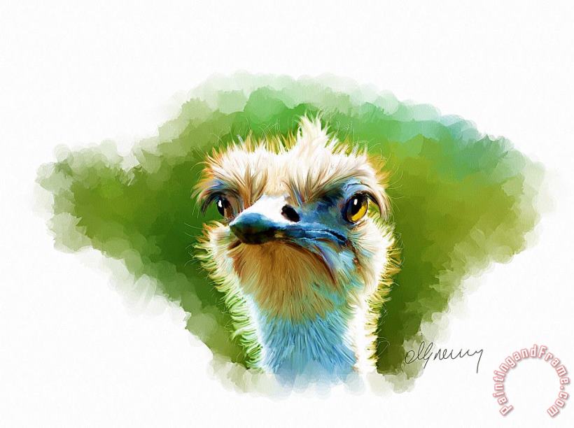 Ostrich Portrait painting - Michael Greenaway Ostrich Portrait Art Print