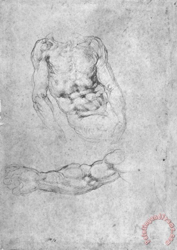 Studies for Pieta Or The Last Judgement painting - Michelangelo Studies for Pieta Or The Last Judgement Art Print
