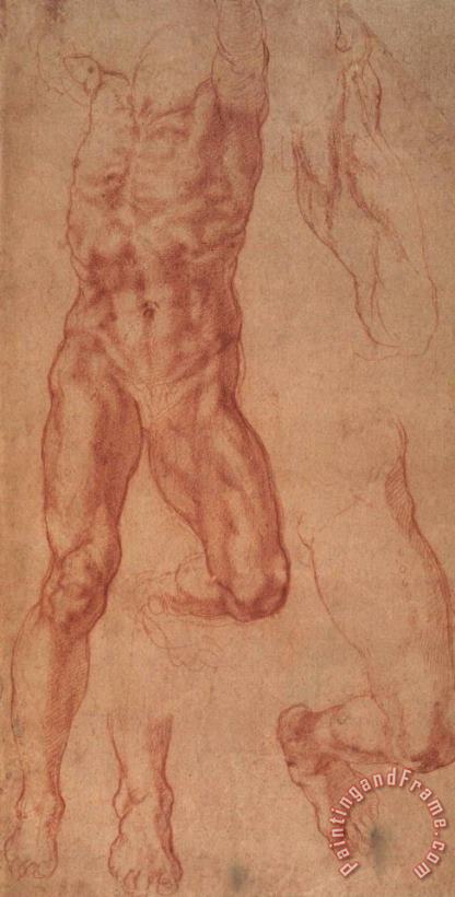 Study for Haman painting - Michelangelo Study for Haman Art Print