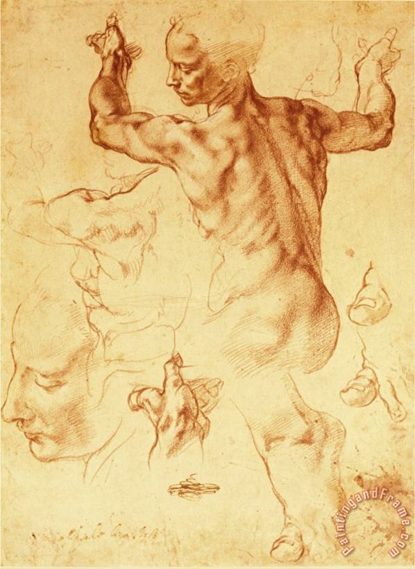 Anatomy Sketches Libyan Sibyl painting - Michelangelo Buonarroti Anatomy Sketches Libyan Sibyl Art Print