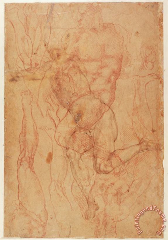 Figure Study Red Chalk on Paper painting - Michelangelo Buonarroti Figure Study Red Chalk on Paper Art Print