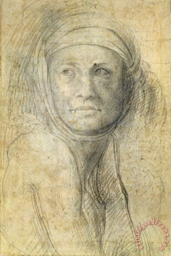 Head of a Woman painting - Michelangelo Buonarroti Head of a Woman Art Print