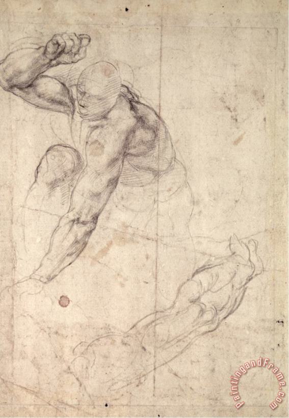 Male Figure Study painting - Michelangelo Buonarroti Male Figure Study Art Print