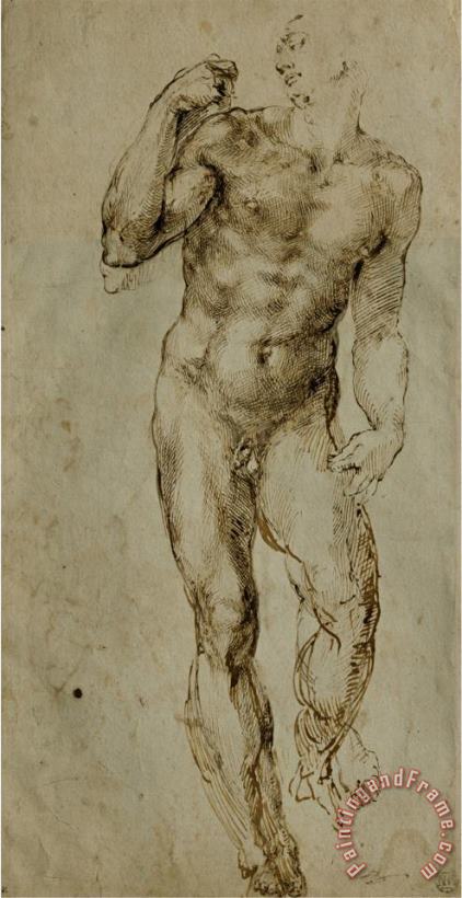 Nude Male Figure Seen Frontally Circa 1502 1506 painting - Michelangelo Buonarroti Nude Male Figure Seen Frontally Circa 1502 1506 Art Print