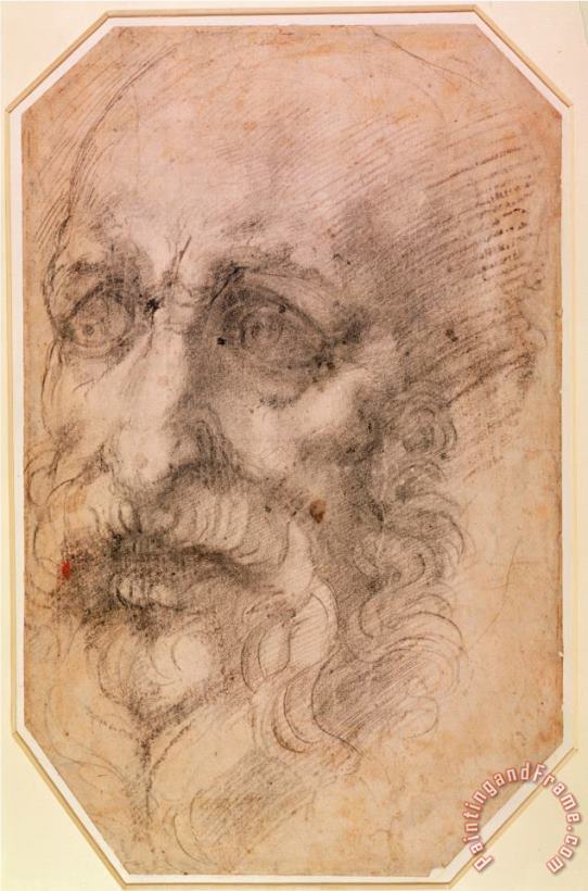 Michelangelo Buonarroti Portrait of a Bearded Man Art Painting