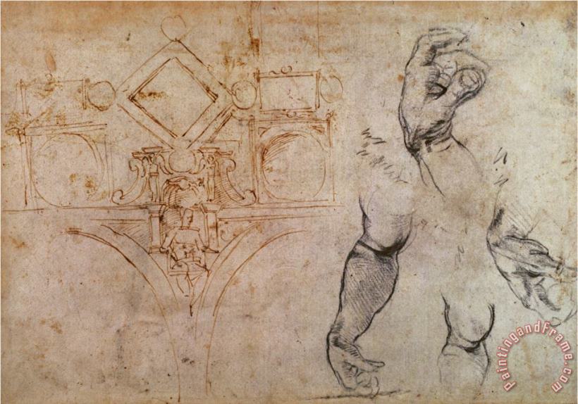 Michelangelo Buonarroti Scheme for The Sistine Chapel Ceiling C 1508 Art Painting